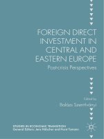 Foreign diect investment incentral and eastern europe 