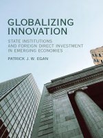 Globalizing innovation state institutions and foreign direct investment in emerging economies 