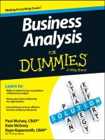 Business analysis for dummies 