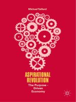 Aspirational revolution the purpose driven economy 