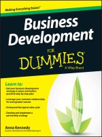 Business development for dummies 
