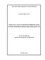Nhân lực tại các doanh nghiệp du lịch ở tỉnh Ninh Bình trong hội nhập quốc tế