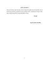 Nghiên cứu giải pháp ứng dụng cọc khoan nhồi đường kính nhỏ trên địa bàn thành phố sóc trăng 