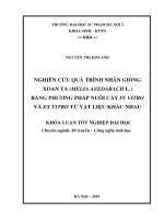 Nghiên cứu quá trình nhân giống xoan ta (melia azedarach l ) bằng phương pháp nuôi cấy in vitro và ex vitro từ vật liệu khác nhau 