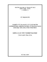 Nghiên cứu đa dạng các loài bướm (lepidoptera rhopalocera) ở trạm đa dạng sinh học mê linh, tỉnh vĩnh phúc 