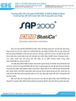 Link SAP2000 va IDEA statica steel connection