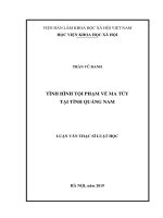 Tình hình tội phạm về ma túy tại tỉnh quảng nam 