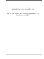 BÁO CÁO MÔN HỌC KINH TẾ VI MÔ