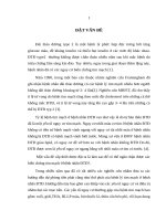 Đánh giá chức năng nội mạc ở bệnh nhân đái tháo đường type 2 