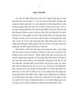 Khảo sát sự biến đổi và giá trị tiên lượng của chỉ số sức căng dọc toàn bộ thất trái ở bệnh nhân bệnh động mạch vành mạn tính trước và sau can thiệp động mạch vành qua da 