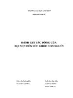 ĐÁNH GIÁ TÁC ĐỘNG CỦA BỤI MỊN ĐẾN SỨC KHỎE CON NGƯỜI