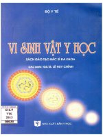 Vi sinh vật y học  sách đào tạo bác sỹ đa khoa 