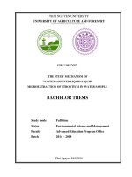 Mechanism of vortex assisted liquid liquid microextraction of strontium in water sample 