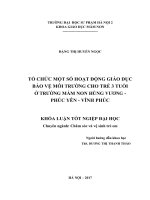 Tổ chức một số hoạt động giáo dục bảo vệ môi trường cho trẻ 3 tuổi ở trường mầm non hùng vương – phúc yên – vĩnh phúc (2017) 