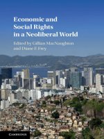 Economic and social rights in a neoliberal world 