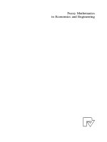 Fuzzy mathematics in economics and engineering 