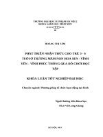 Phát triển nhận thức cho trẻ 3   6 tuổi ở trường mầm non hoa sen   vĩnh yên   vĩnh phúc thông qua đồ chơi học tập (2017) 