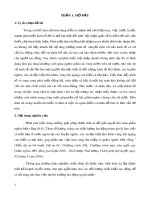 Tiểu luận Công tác xã hội với người nghèo: Tăng số lượng, nâng cao chất lượng lao động tham gia đi làm việc có thời hạn ở nước ngoài tại các huyện nghèo, các xã đặc biệt khó khăn vùng bãi