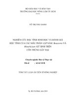 Tóm tắt luận văn Tiến sĩ Nông nghiệp: Nghiên cứu đặc tính sinh học và đánh giá độc tính của các mẫu phân lập nấm Beauveria và Metarhizium ký sinh trên côn trùng gây hại