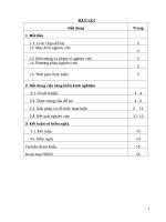 Phương pháp giải một số dạng bài tập về tác động của đột biến đối với cấu trúc di truyền quần thể 