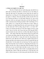 Tóm tắt luận văn Thạc sĩ Quản trị kinh doanh: Đánh giá chất lượng dịch vụ ví điện tử - So sánh chất lượng dịch vụ của ví điện tử Momo, Zalopay và Airpay