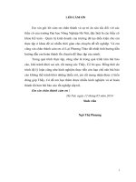 Một số giải pháp nhằm hoàn thiện kế toán bán hàng và xác định kết quả kinh doanh tại công ty TNHH long thịnh   thanh hoá 