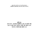Tiểu luận môn Ngân hàng Trung ương và chính sách tiền tệ: Bitcoin – Sự ảnh hưởng của nó đối với quy luật lưu thông tiền tệ Việt Nam trong thời đại hiện nay
