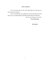 Nghiên cứu chế biến rượu vang chuối tiêu 