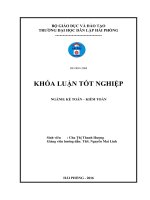 Luận văn Thạc sĩ Kế toán - Kiểm toán: Hoàn thiện công tác kế toán hàng hóa tại Công ty Cổ Phần Vận Tải và Thương Mại CPN Việt Nam