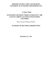 Summary of Doctoral dissertation: Investment decision under uncertainty - The case of carbon taxation in developing countries
