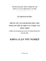 NHỮNG yếu tố ẢNH HƯỞNG đến VIỆC SINH CON THỨ BA HIỆN NAY ở KHU vực NÔNG THÔN (nghiên cứu trường hợp tại xã sơn trà  huyện hương sơn  