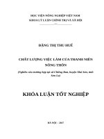 CHẤT LƯỢNG VIỆC làm của THANH NIÊN NÔNG THÔN (nghiên cứu trường hợp tại xã chiềng ban, huyện mai sơn, tỉnh sơn la) 