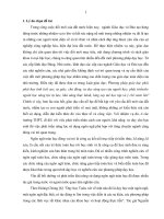 Tóm tắt Phát triển năng lực sử dụng ngôn ngữ toán học cho học sinh THPT thông qua dạy học giải tích lớp 11