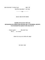 Tóm tắt luận văn Tiến sĩ Y học: Nghiên cứu sự thay đổi của Heparansulfate Interacting Protein (HIP) và Epidermal Growth Factor Receptor (EGFR) ở mô ung thư vú