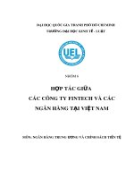Tiểu luận Ngân hàng Trung ương và chính sách tiền tệ: Hợp tác giữa các công ty Fintech và các ngân hàng tại Việt Nam
