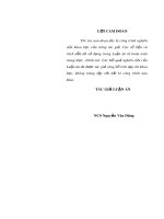 Luận án Tiến sĩ: Tác động của đầu tư nước ngoài đến an ninh kinh tế ở Việt Nam