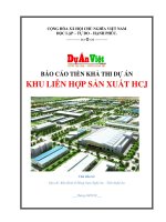 Báo cáo tiền khả thi Dự án Khu liên hợp sản xuất HCJ tỉnh Nghệ An