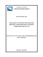 Tóm tắt luận văn Thạc sĩ Quản trị kinh doanh: Nhận diện người tiêu dùng đổi mới (identify consumer innovativeness – tình huống dịch vụ 4G)