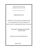 Tóm tắt luận án Tiến sĩ Kỹ thuật: Nghiên cứu thu nhận, xác định đặc tính của Tyrosinase từ chủng Aspergillus Oryzae TP01 và thăm dò khả năng ứng dụng