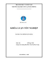 Khóa luận tốt nghiệp Tài chính - Ngân hàng: Phân tích tình hình cho vay xóa đói giảm nghèo tại Ngân hàng chính sách xã hội Huyện An Dương