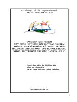 Xây dựng hệ thống bài tập trắc nghiệm khách quan bằng hình vẽ trong chương halogen, chương oxi lưu huỳnh, chương nitơ photpho và chương cacbon silic  