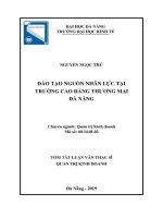 Tóm tắt luận văn Thạc sĩ Quản trị kinh doanh: Đào tạo nguồn nhân lực tại trường Cao đẳng Thương mại Đà Nẵng
