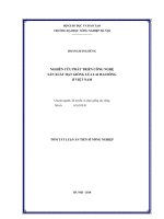 Tóm tắt luận án Tiến sĩ Nông nghiệp: Nghiên cứu phát triển công nghệ sản xuất hạt giống lúa lai hai dòng ở Việt Nam