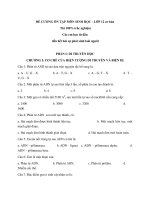 Đề cương ôn tập kiểm tra học kì 1 môn Sinh học 12 năm 2019-2020 - Trường THPT Đức Trọng