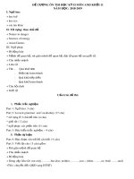 Đề cương ôn tập học kì 2 môn Tiếng Anh 11 năm 2018-2019 - Trường THPT Hai Bà Trưng