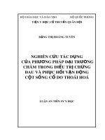 Luận án tiến sĩ Y học: Nghiên cứu tác dụng của phương pháp Đại trường châm trong điều trị chứng đau và phục hồi vận động cột sống cổ do thoái hoá