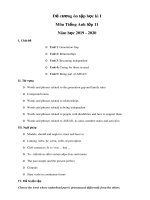 Đề cương ôn tập học kì 1 môn Tiếng Anh 11 năm 2019-2020 - Trường THPT Chu Văn An (Thí điểm)