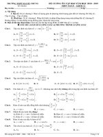 Đề cương ôn tập HKI năm học 2018-2019 môn Toán khối 11