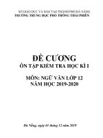Đề cương ôn tập học kì 1 môn Ngữ văn 12 năm 2019-2020 - Trường THPT Thái Phiên