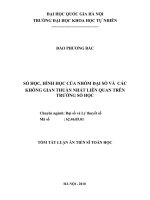 Tóm tắt luận án Tiến sĩ Toán học: Số học, hình học của nhóm đại số và các không gian thuần nhất liên quan trên trường số học